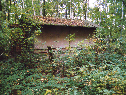 Von der Natur zurckerobert